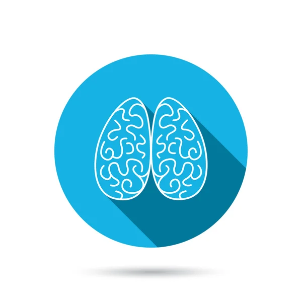 Neurology icon. Human brain sign. — Stock Vector