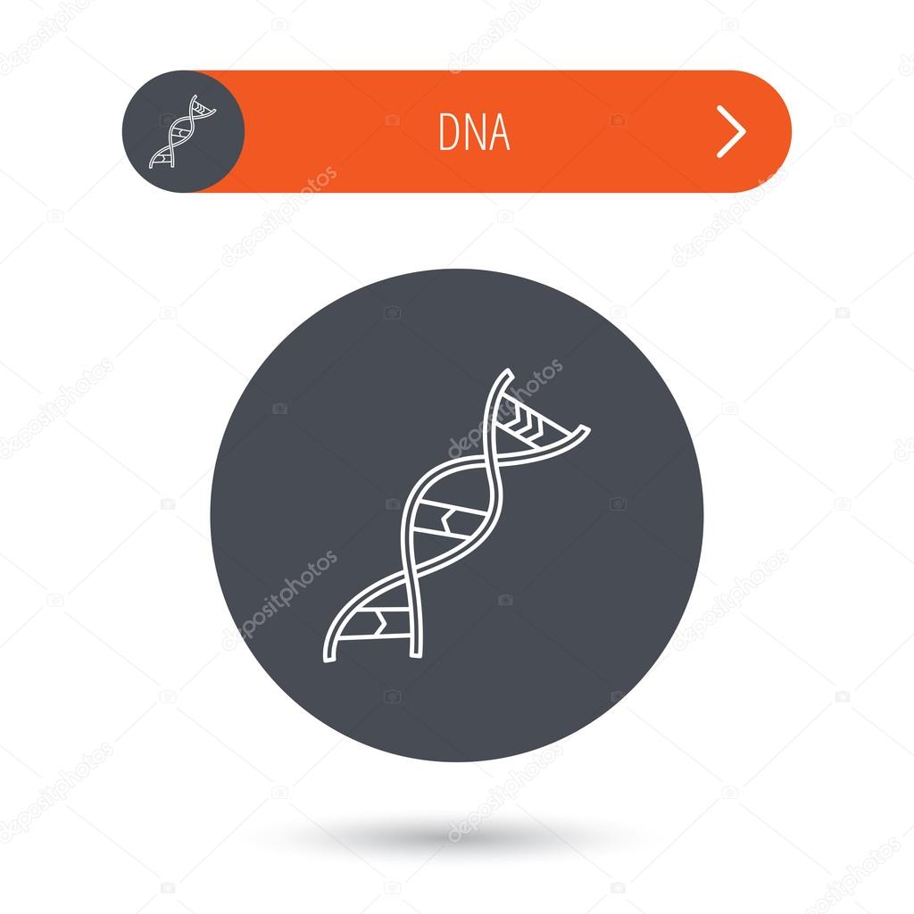 DNA icon. Genetic structure sign.