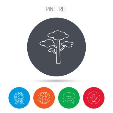 Çam ağacı simgesi. Orman ahşap işareti.