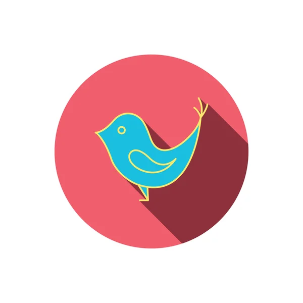 Pták s ikonou, zobák. Sociální média koncept znamení. — Stockový vektor