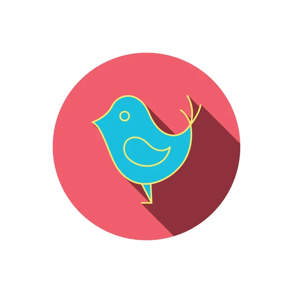 Pájaro con icono de pico. Signo de concepto de redes sociales . — Vector de stock