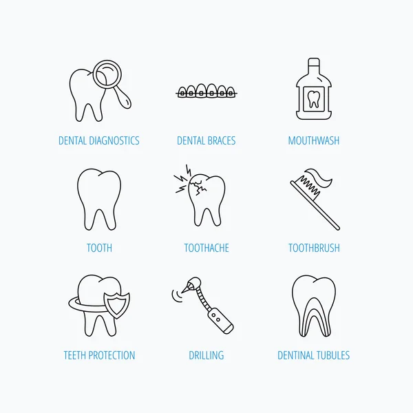 Tooth, dental braces and mouthwash icons. — Stock Vector