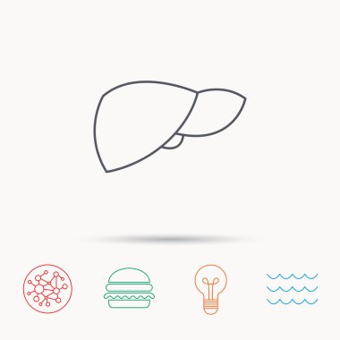 Karaciğer simgesi. Nakli organ işareti.