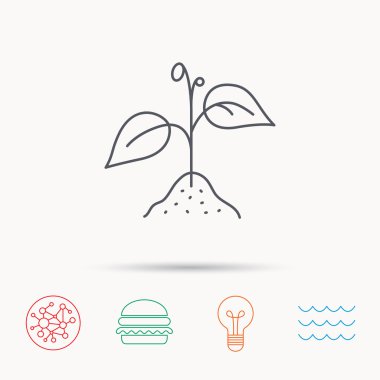 Yaprakları simgesiyle bitki. Tarım işareti.