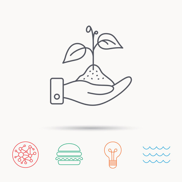 Икона природы. Рука с растительным знаком
.