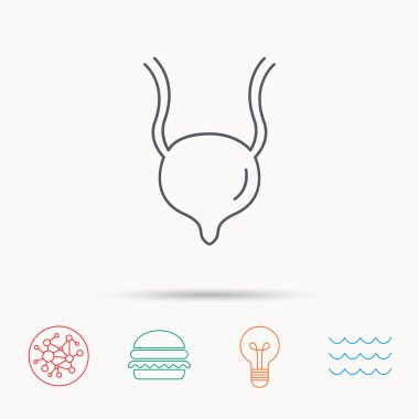 İdrar kesesi simgesi. İnsan vücudu organı işareti.