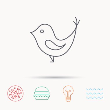 Kuş gagası simgesi olan. Sosyal medya işareti kavramı.