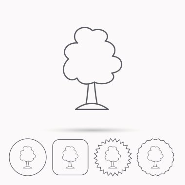 Ağaç simgesi. Orman ahşap işareti.