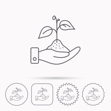 Doğa simge kaydetmek. El bitki Filiz işareti ile.