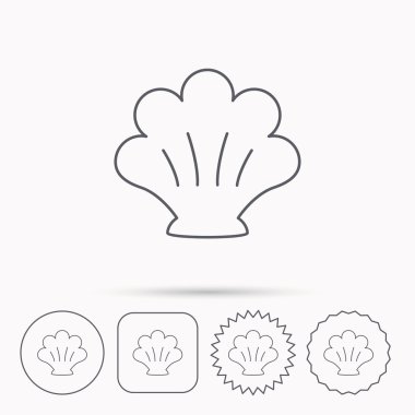 Deniz kabuğu simgesi. Seashell işareti.