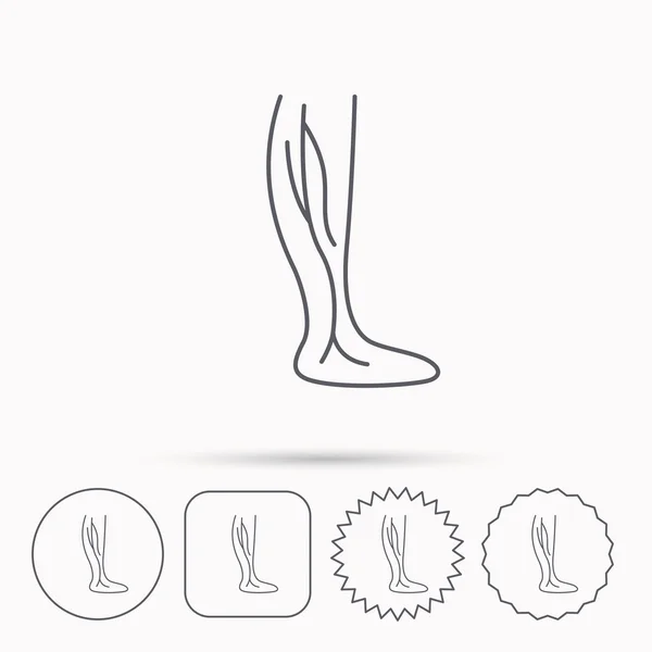 Icono de flebología. Signo de venas de pierna . — Archivo Imágenes Vectoriales