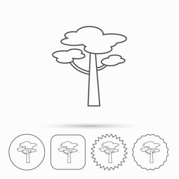 Icono del árbol de pino. Bosque madera signo . — Vector de stock