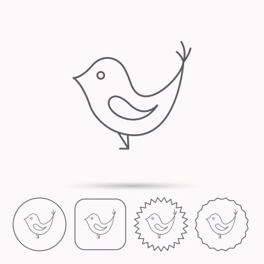 Kuş gagası simgesi olan. Sosyal medya işareti kavramı.