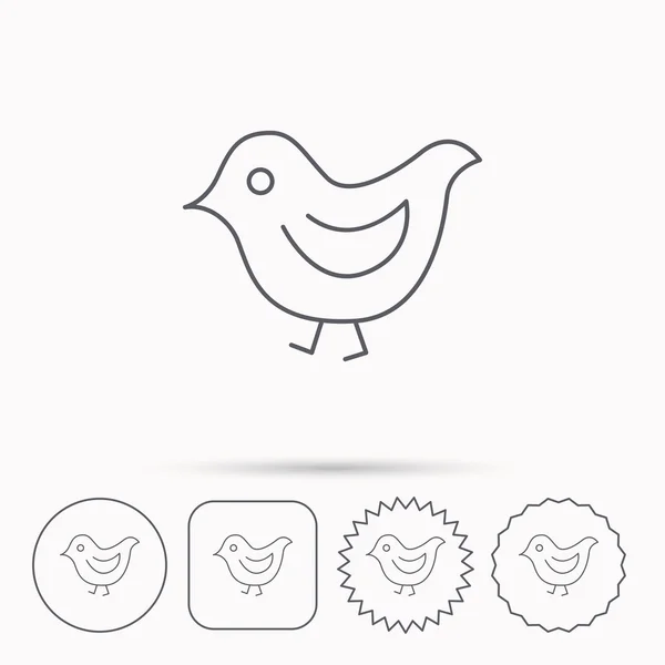 Bird icon. Chick with beak sign. — Stock Vector