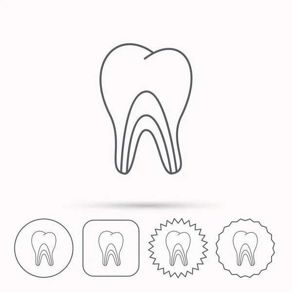 Dentinal tubules icon. Tooth medicine sign. — Stock Vector