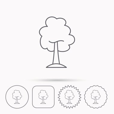 Akçaağaç ağaç simgesi. Orman ahşap işareti.