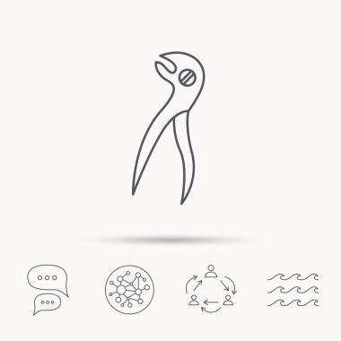 Diş pense simgesi. Dişçi forseps aracı.