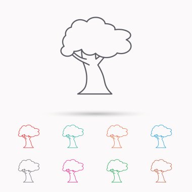 Meşe ağacı simgesi. Orman ahşap işareti.