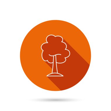 Akçaağaç ağaç simgesi. Orman ahşap işareti.