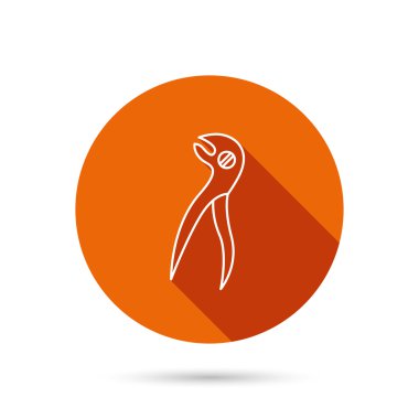 Diş pense simgesi. Dişçi forseps aracı.