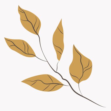Botanik illüstrasyon. Hafif arka planda yaprakları olan bir dal resmi. Koruma için simge veya logo, çevre dostu, doğal konsept.