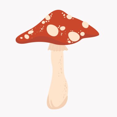 Hafif bir arkaplanda yaban mantarı sineğinin vektör görüntüsü. Çizgi film düz çizim. Ayrı nesne