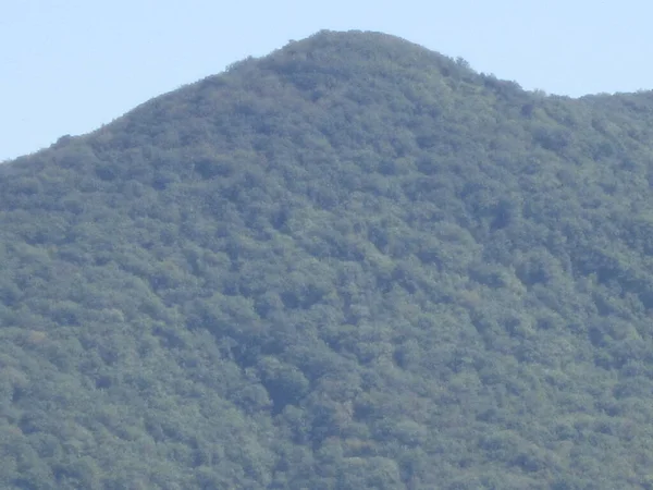 Vista Floresta Nas Montanhas — Fotografia de Stock