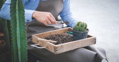 Önlüklü bir adamın bahçe aletleriyle kaktüs ektiği ve bahçedeki evde huzurlu bir sabah geçirdiği manzarayı kapat..