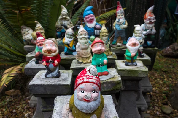 Un gruppo di variopinti gnomi da giardino — Foto Stock