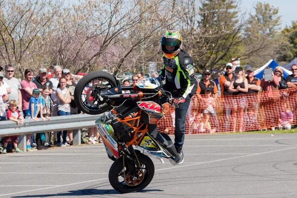 Piloto de acrobacia de motocicleta - Wheelie — Fotografia de Stock