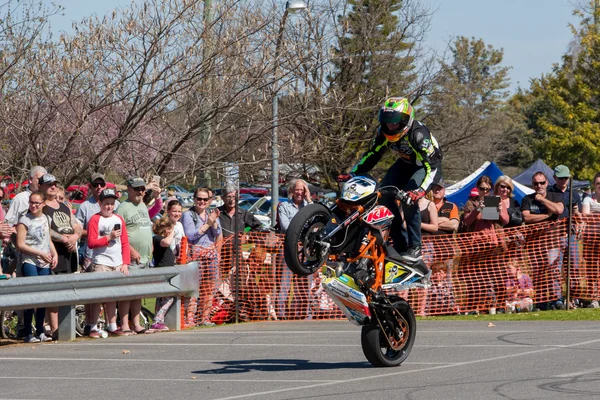 Akrobacje motocyklista - Wheelie — Zdjęcie stockowe