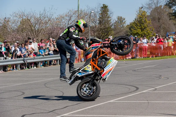 Piloto de acrobacia de motocicleta - Wheelie — Fotografia de Stock