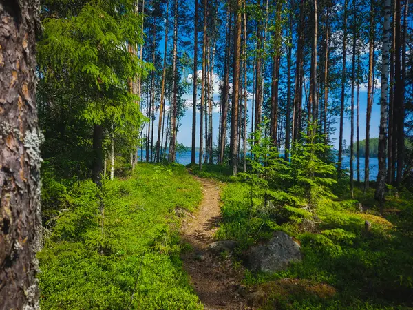 Weg Zum Ruhigen Ufer — Stockfoto