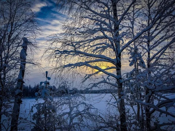 Frost Och Sol Underbar Dag — Stockfoto