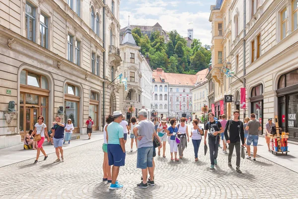 Ljubljana Szlovénia 2018 Augusztus Egy Nagy Macskaköves Sétálóutca Magas Régi — Stock Fotó