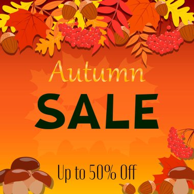 Eylül ayındaki alışveriş tanıtımı için sonbahar indirimi ya da% 50 sonbahar indirimi. İndirimli broşür veya web afişi tasarımı için meşe palamudu, mantar ve böğürtlen. Festivale davet
