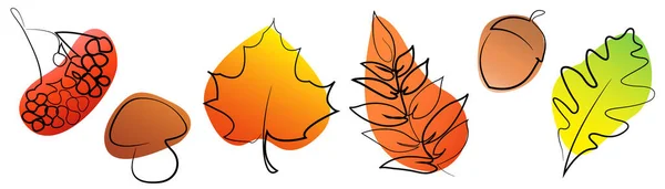Set Autumn Elements Icon One Line Art Style Isolated Autumn — Stock Vector