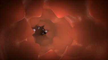 sperm yarış rekabet