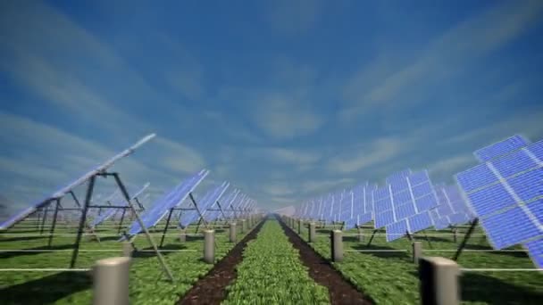 Ferme solaire dans le champ 