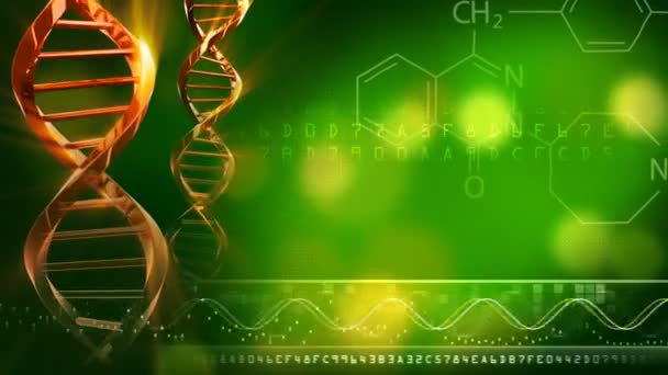 Dna iplikçiğinin animasyon — Stok video