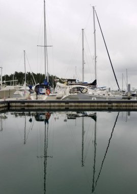 San Juan Adaları, Washington