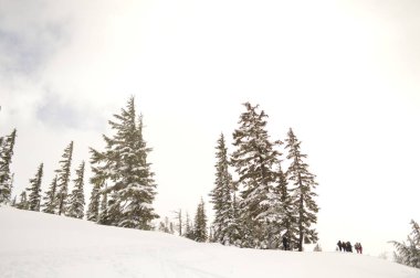 Yürüyüşçüler Şelale Dağları, Şelale Dağları, Washington