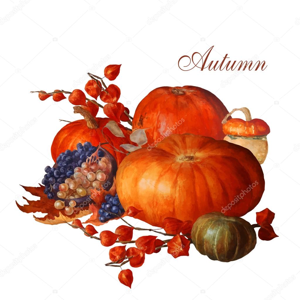 Autumn illustration with grapes, pumpkins, watercolor painting