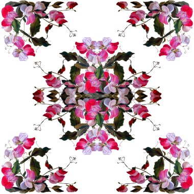 Tatlı bezelye beyaz zemin üzerine çiçekli desen. Waterc