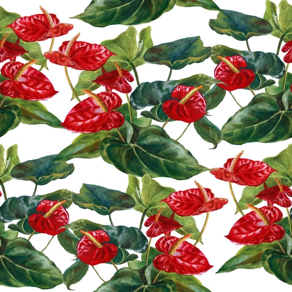 Seamless pattern, anthurium on a white background. Watercolor Pa