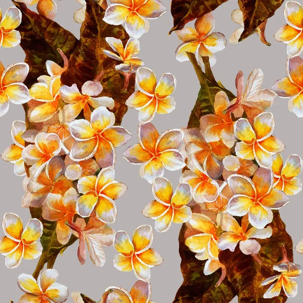 Motif floral sans couture. Magnolia sur fond blanc.Watercol — Photo