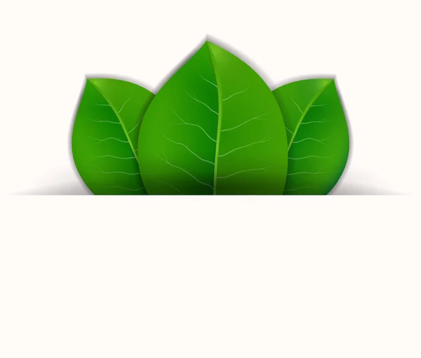 Gröna blad vektor bakgrund — Stock vektor