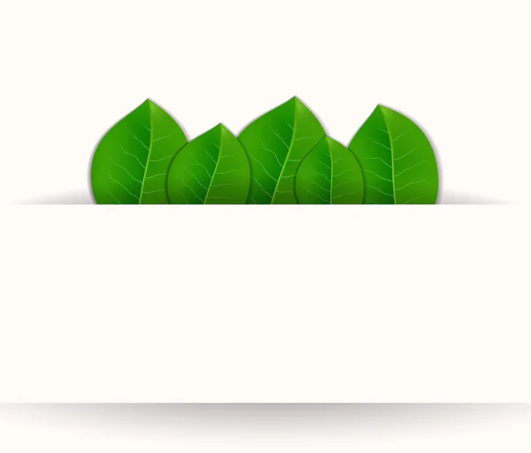 Gröna blad vektor bakgrund — Stock vektor