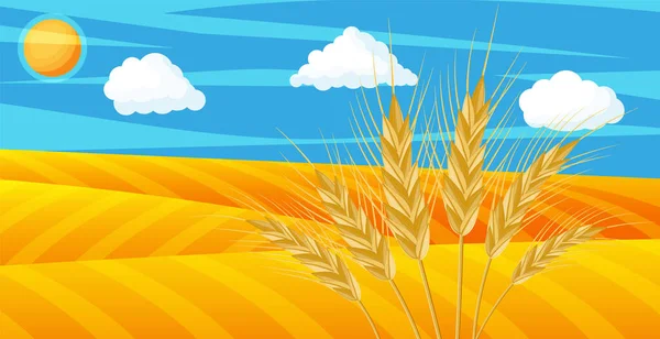 Пшеница в полях. Природный пейзаж с урожаем — стоковый вектор