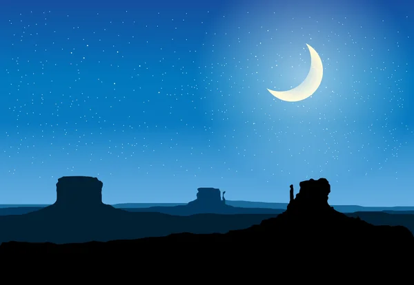 夜でアリゾナ岩谷 — ストックベクタ